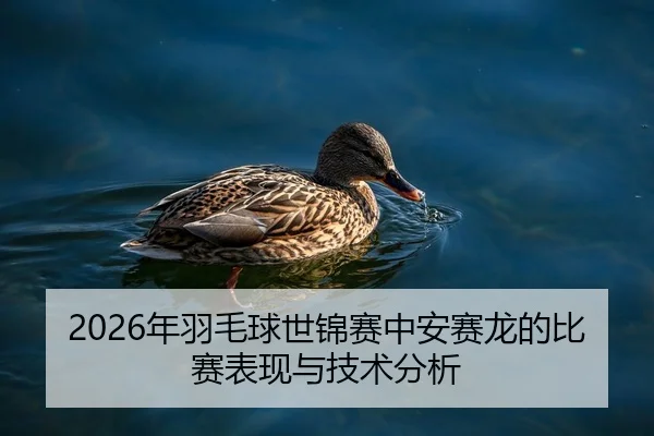2026年羽毛球世锦赛中安赛龙的比赛表现与技术分析 - HTH Sports