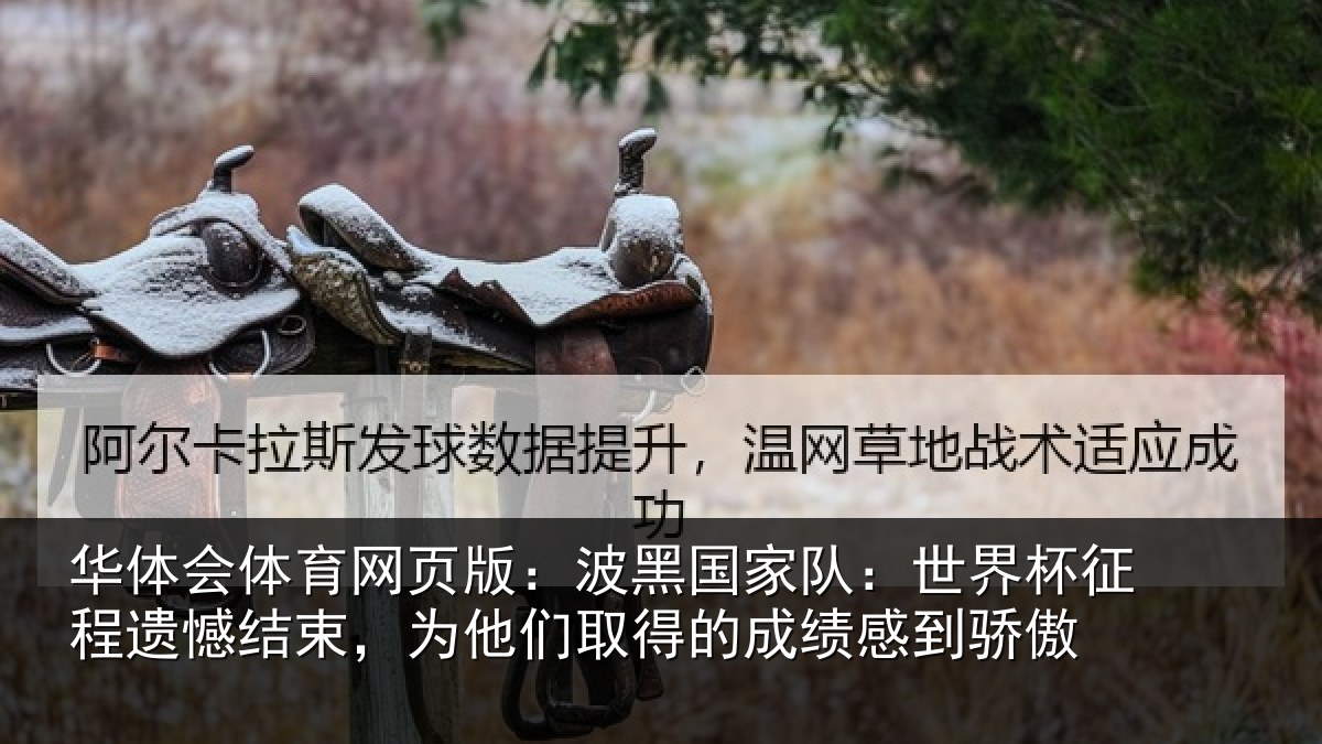 华体会体育网页版：波黑国家队：世界杯征程遗憾结束，为他们取得的成绩感到骄傲