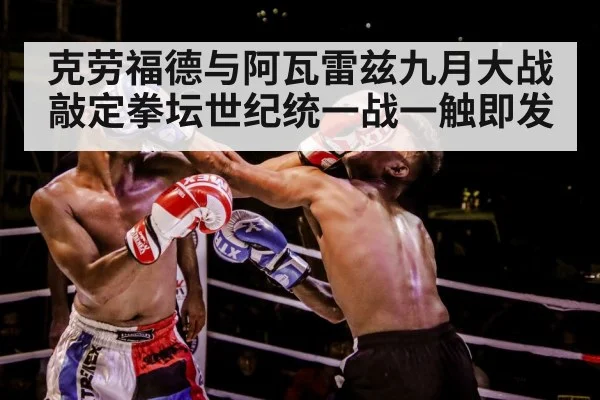 boxer training gloves