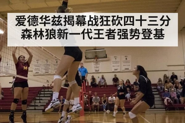 爱德华兹揭幕战狂砍四十三分 森林狼新一代王者强势登基
